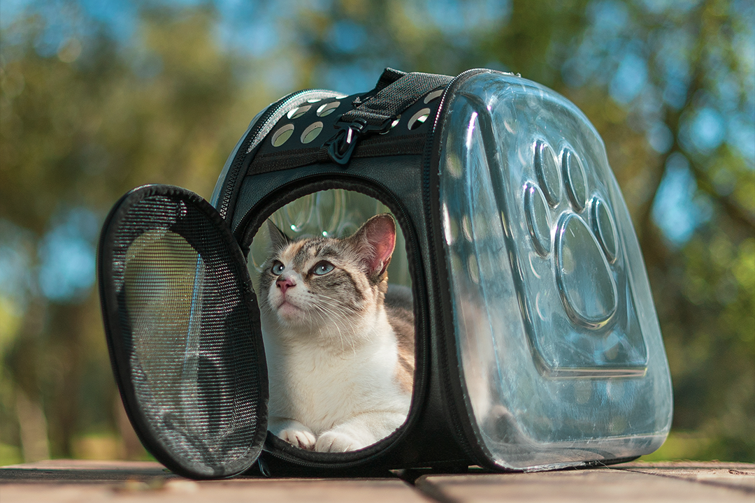 Sac Facile A Ranger Transparent Et Tres Pratique Pour Chat Meaw